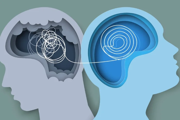 Mental Health Management Program